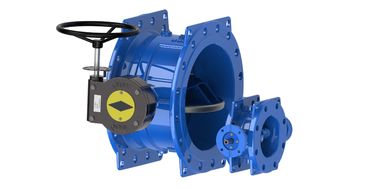 RAL5010 SS316L Disk Koltuğu Çift Eksantrik Kelebek Valfi DN350mm
