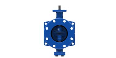 DN350mm Düktil Demir Çift Eksantrik Kelebek Valfi