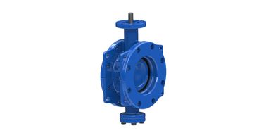DN150mm SS304 Disk Halkası Çift Eksantrik Kelebek Valfi Dovetail Seal ile