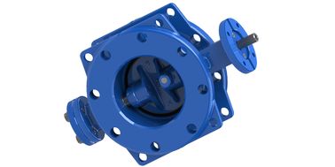 RAL5010 SS316L Disk Koltuğu Çift Eksantrik Kelebek Valfi DN350mm