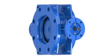 150 PSI İçme suyu Çift Eksantrik Kelebek Valf AWWA C504
