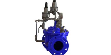 Flanş Sonu Tam Basınç Dalgalanmasını Önleyen Kontrol Valfi Dinamik EPDM PN10-25 Mavi EN1074-5