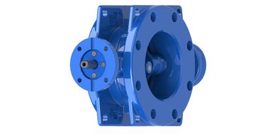 Butterfly Double Eccentric Valve